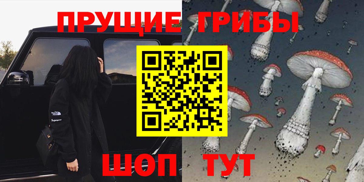 Избербаш  Псилоцибиновые грибы Psilocybine cubensis  Вход с VPN 